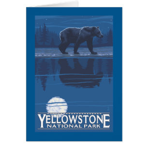 Bear in Moonlight - Yellowstone National Park Cards
