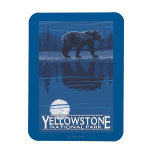 Bear in Moonlight - Yellowstone National Park Magnet