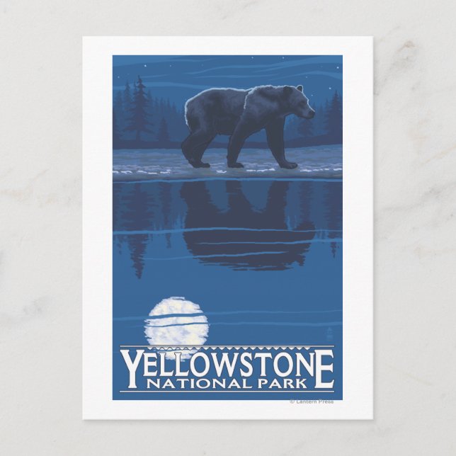 Bear in Moonlight - Yellowstone National Park Postcard (Front)