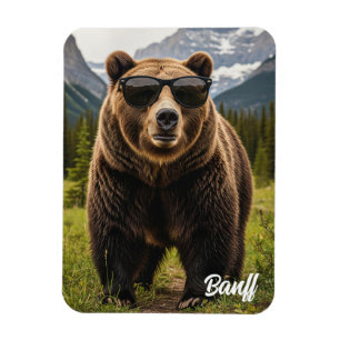 Bear in Sunglasses Banff National Park Canada Magnet