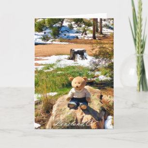 Bear In The Woods Funny Greeting Card