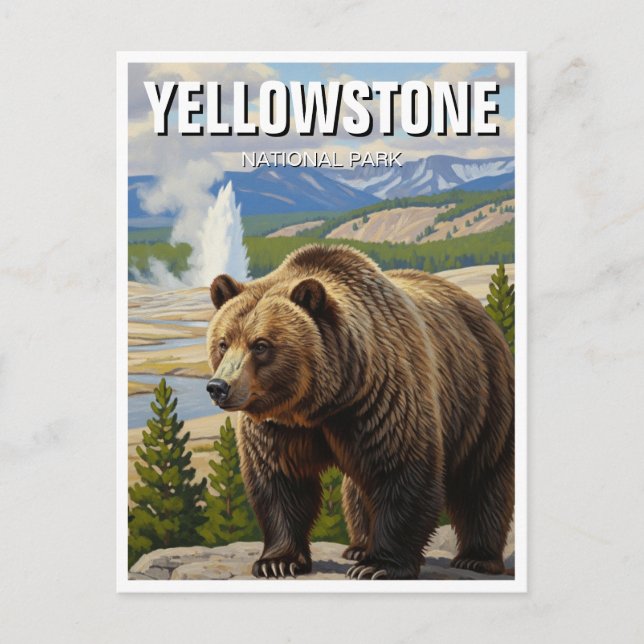 Bear in Yellowstone National Park Souvenir Postcard (Front)