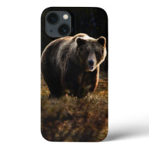 Bear iPhone 13 Case