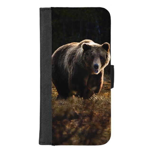 Bear iPhone Wallet Case (Front)