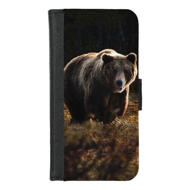 Bear iPhone Wallet Case (Front)