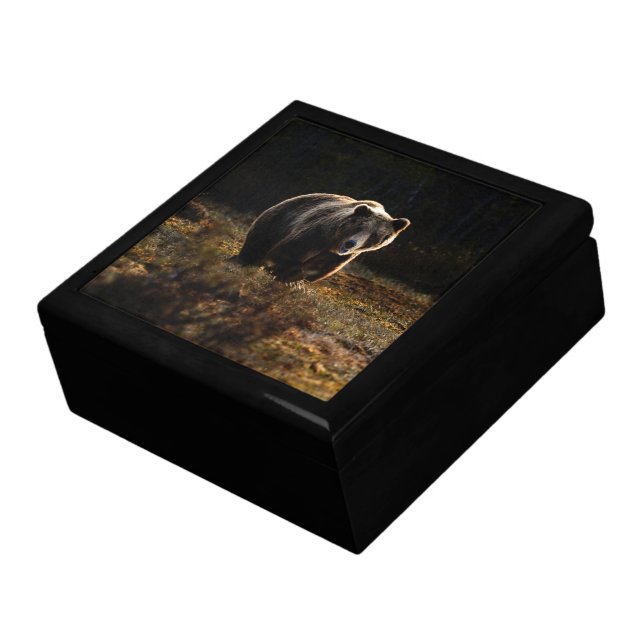 Bear Jewelry Box (Side)