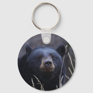 bear keychain