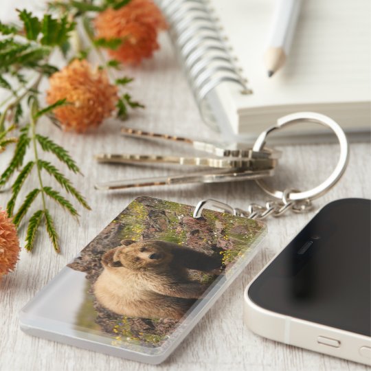 bear keychain