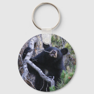 bear keychain