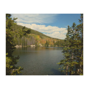 Bear Lake at Rocky Mountain National Park Wood Wall Art