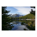 Bear Lake Reflection III Cards