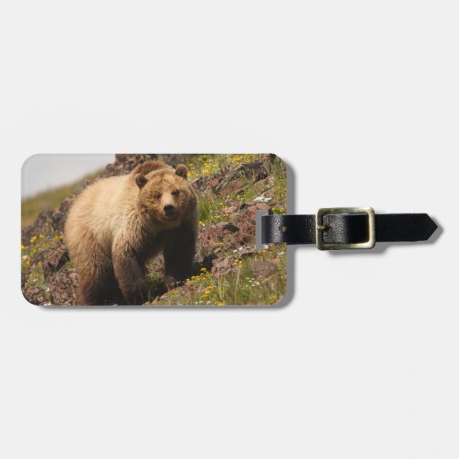 bear luggage tag (Front Horizontal)