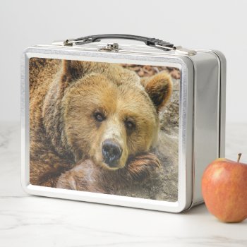 Bear Metal Lunch Box by MarblesPictures at Zazzle