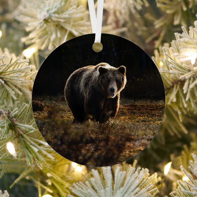 Bear Metal Ornament (Insitu)