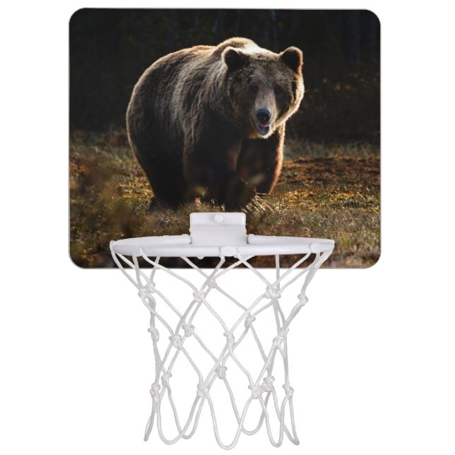 Bear Mini Basketball Hoop (Front)