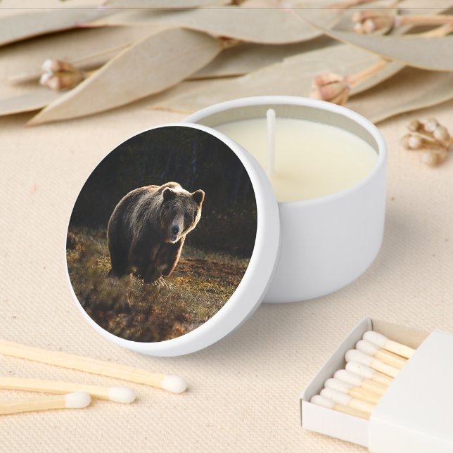 Bear Mini Candle Favors (Insitu)
