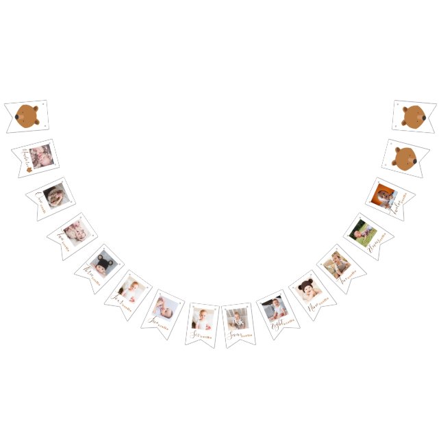 Bear Monthly Photo First Birthday Bunting Flags (All)