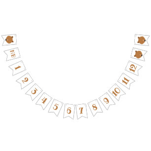 Bear Months First Birthday Bunting Flags