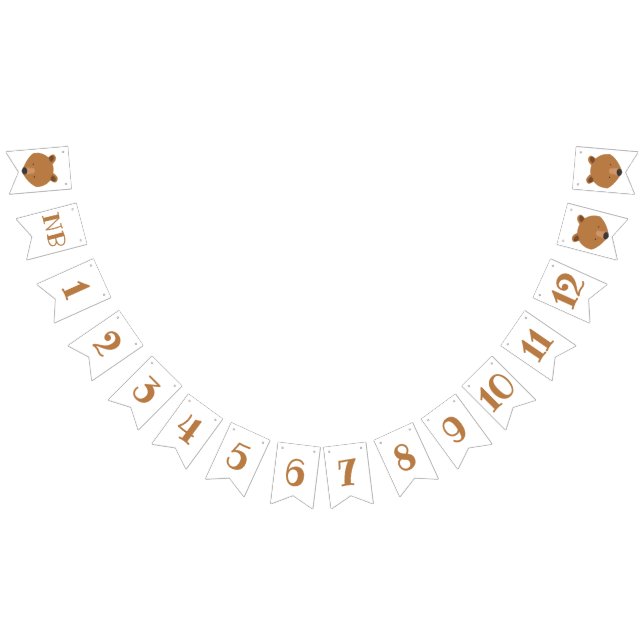 Bear Months First Birthday Bunting Flags (All)