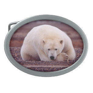 Bear Nature Belt Buckle