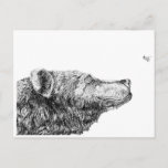Bear Necessities by Inkspot Postcard