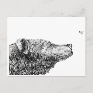 Bear Necessities by Inkspot Postcard
