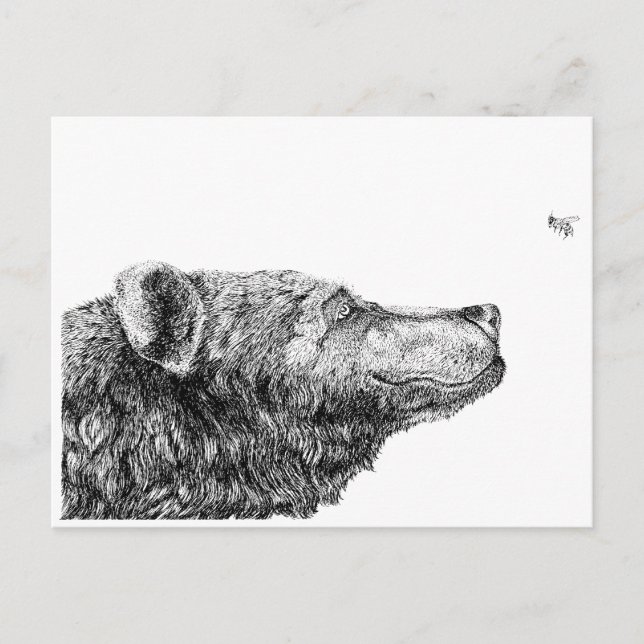Bear Necessities by Inkspot Postcard (Front)