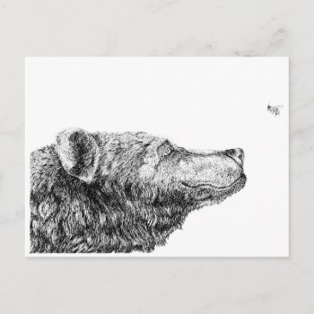 Bear Necessities Inkspot Postcard by lostlit at Zazzle