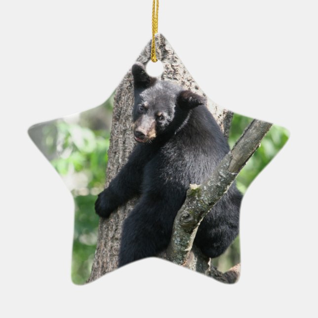 bear  ornament (Front)