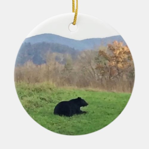 bear ornament