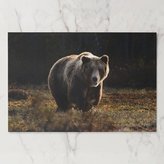 Bear Paper Pad (Front)