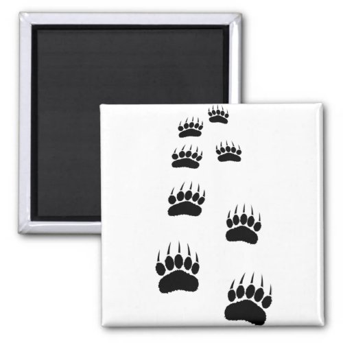 Bear Paw Prints Magnet