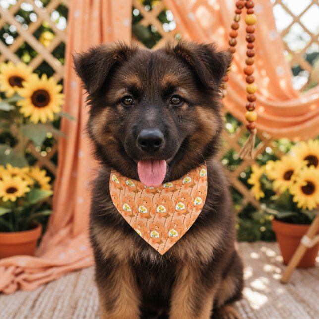 Bear Pet Bandana Collar (Creator Uploaded)