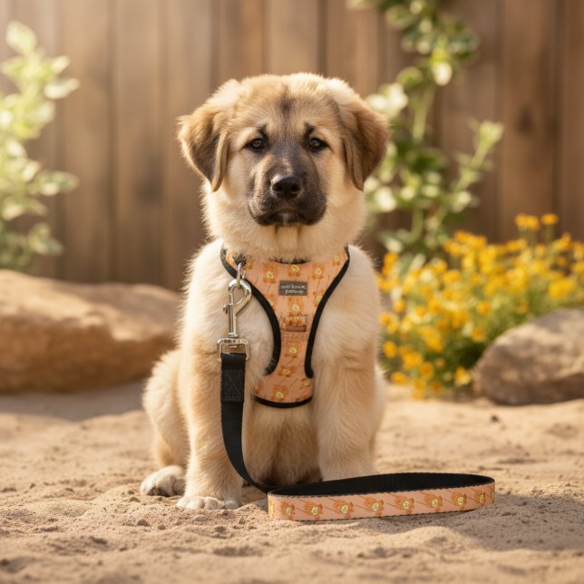 Bear Pet Leash (Creator Uploaded)