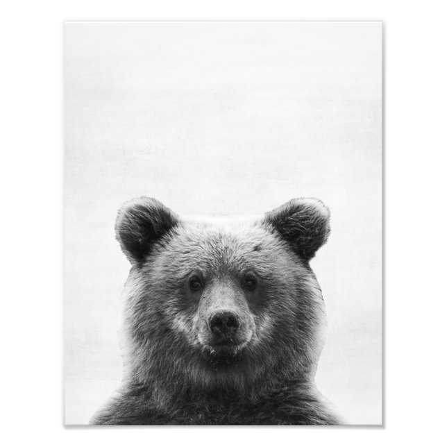 Bear Photo Print (Front)
