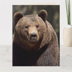 BEAR PHOTOGRAPHY ANYTIME SUITABLE FOR FRAMING CARD
