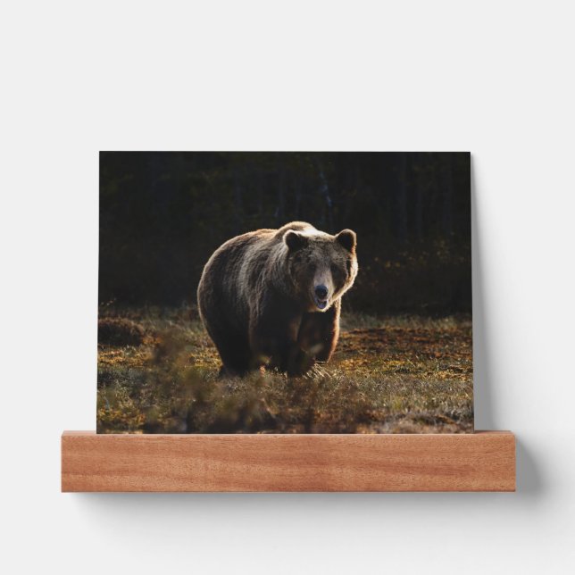 Bear Picture Ledge (Front)