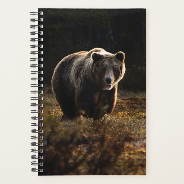 Bear Planner (Front)
