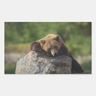 bear rectangular sticker