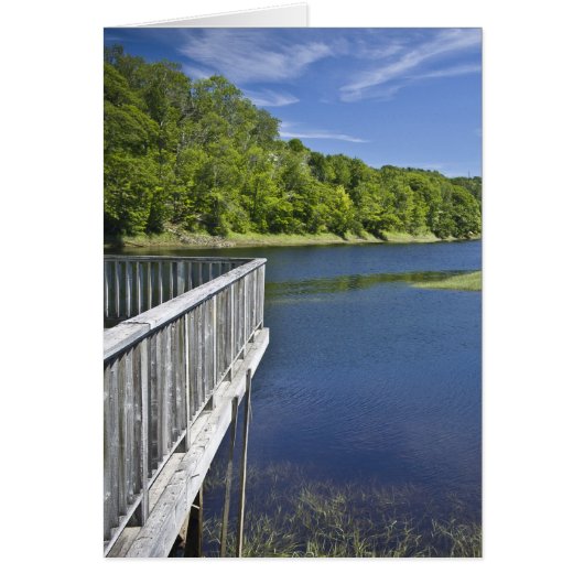 Bear River, NS Cards (Front)