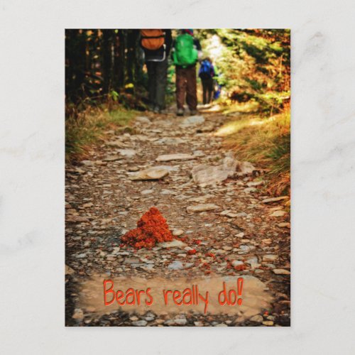 Bear scat on the Trail  Bears really do Postcard