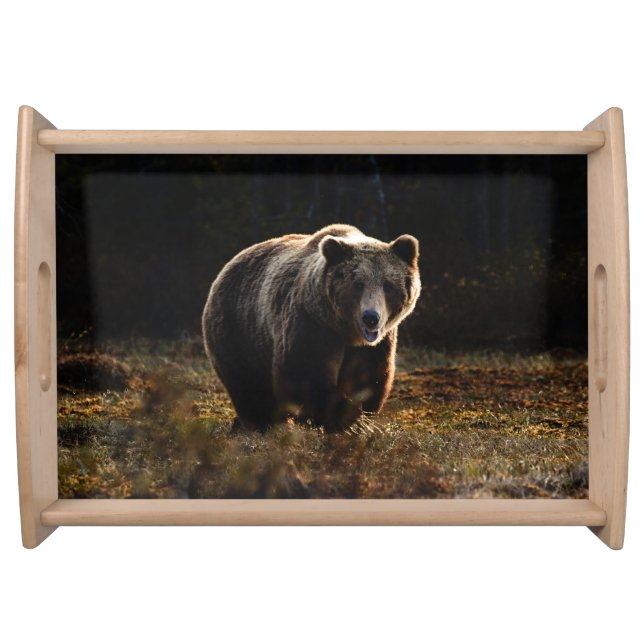 Bear Serving Tray (Front)