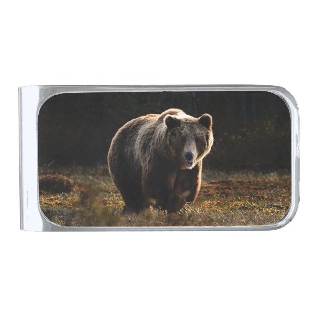 Bear Silver Finish Money Clip (Front)
