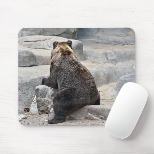 Bear Sitting On a Rock Mouse Pad