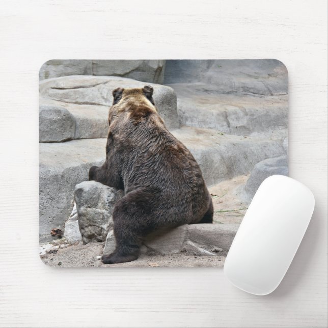 Bear Sitting On a Rock Mouse Pad (With Mouse)