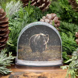 Bear Snow Globe