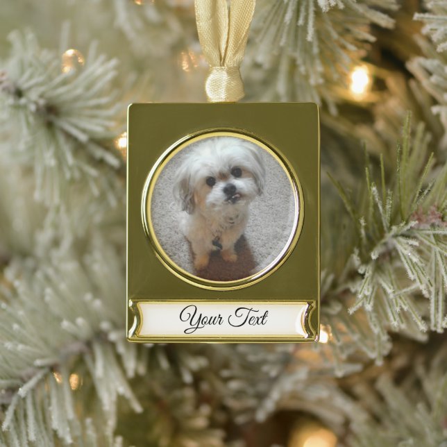 Bear the Malshi Christmas Banner Ornament (Tree)