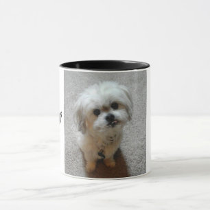 Bear the Malshi Mug