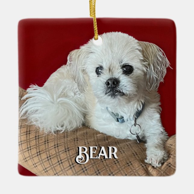 Bear the Malshi Relaxing Ceramic Ornament (Front)