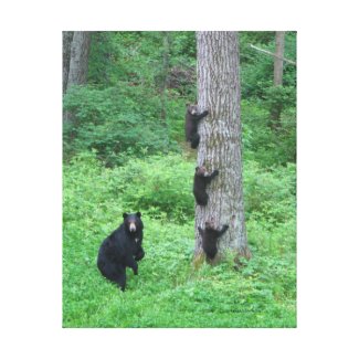 Bear & Three Cubs - Canvas Print - Kessea